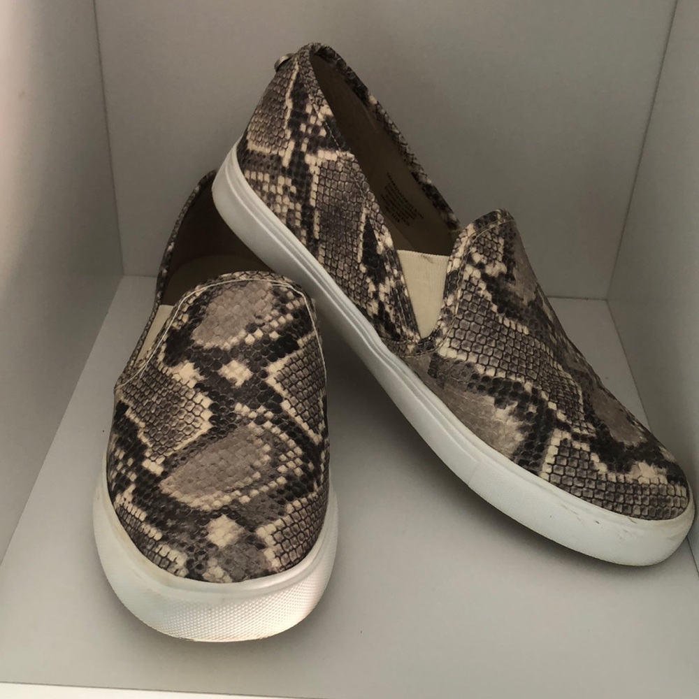 Steve Madden snakeskin slip ons